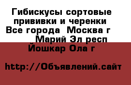 Гибискусы сортовые, прививки и черенки - Все города, Москва г.  »    . Марий Эл респ.,Йошкар-Ола г.